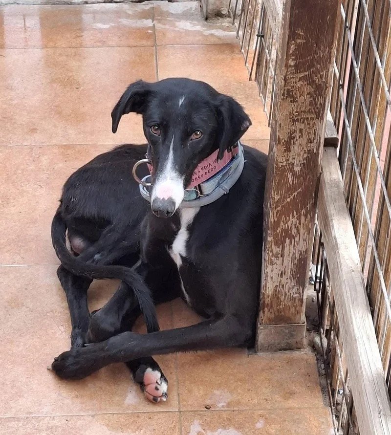 Mizuki thumbnail 2