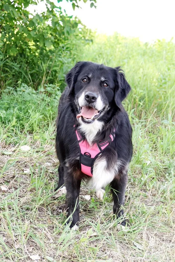 Daisy Sue thumbnail 3