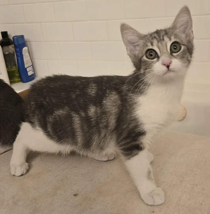 Uliana Ort thumbnail 2