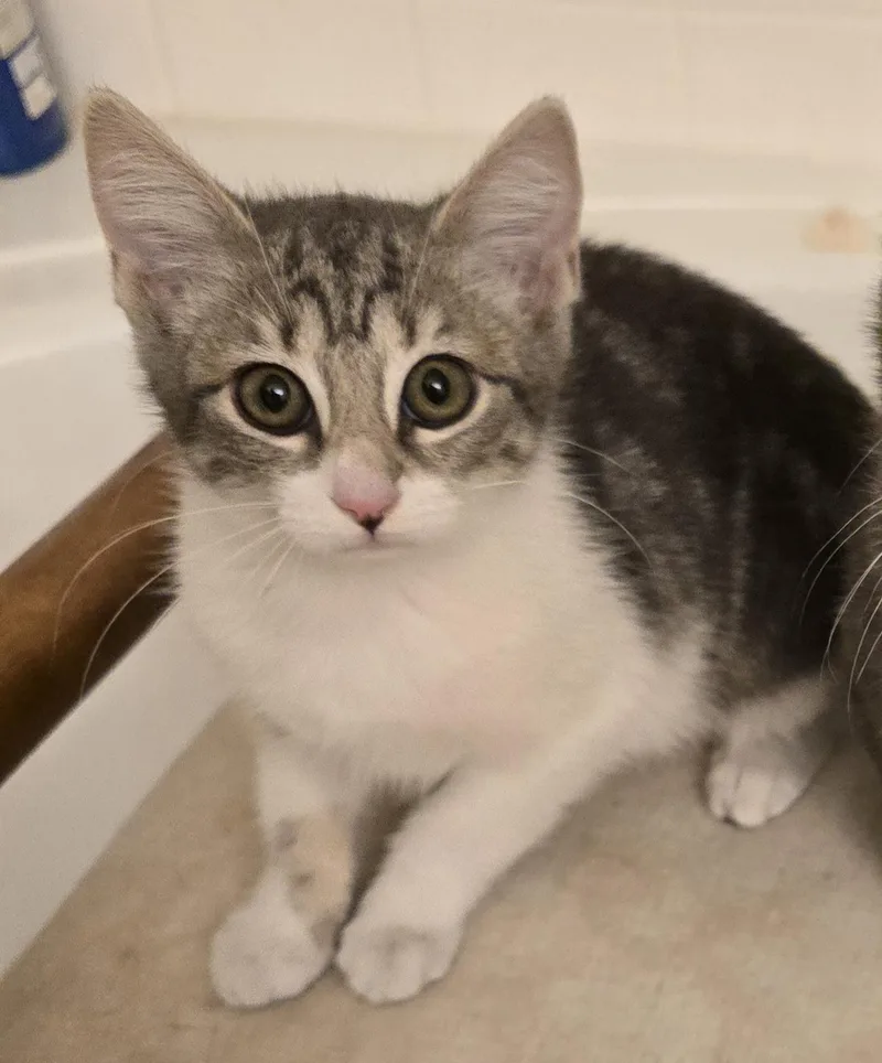 Uliana Ort thumbnail 4