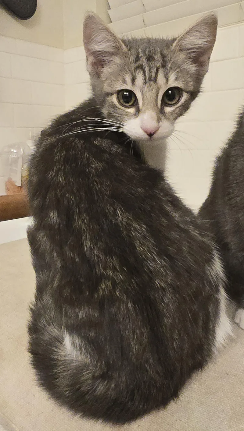 Uliana Ort thumbnail 5