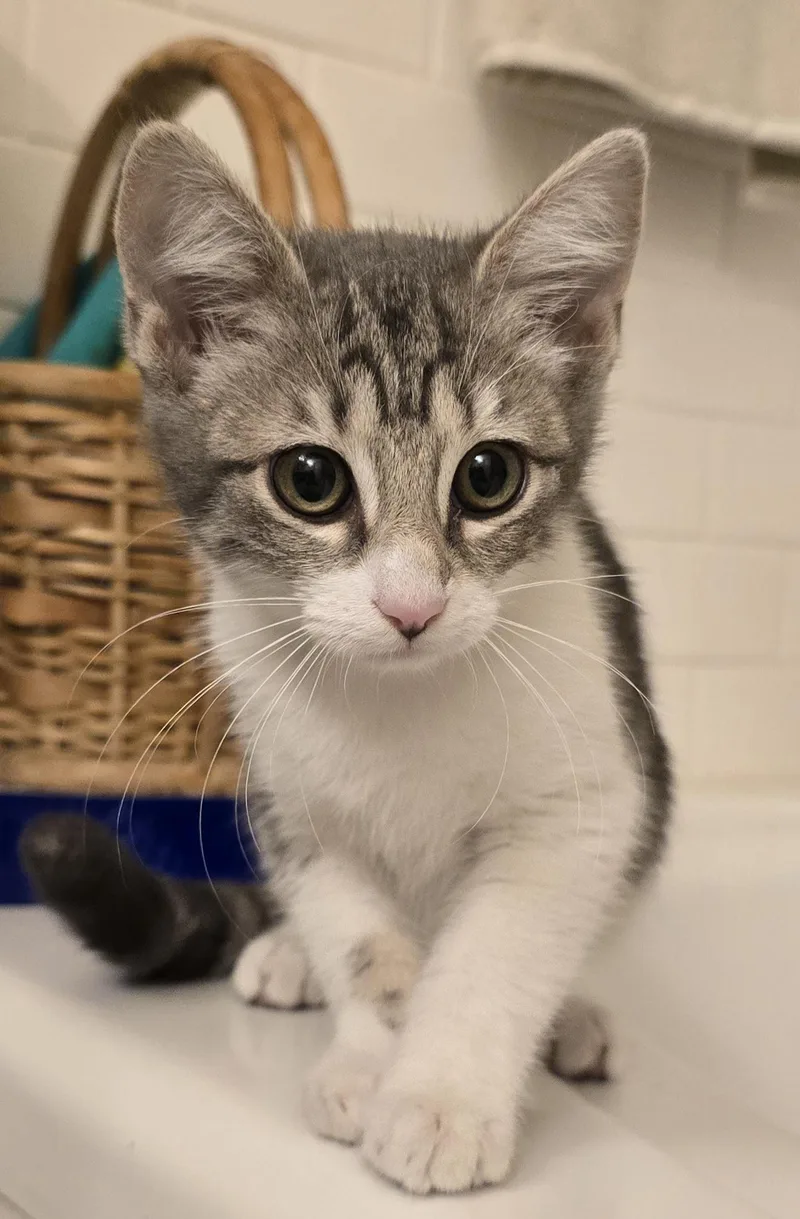 Uliana Ort thumbnail 6