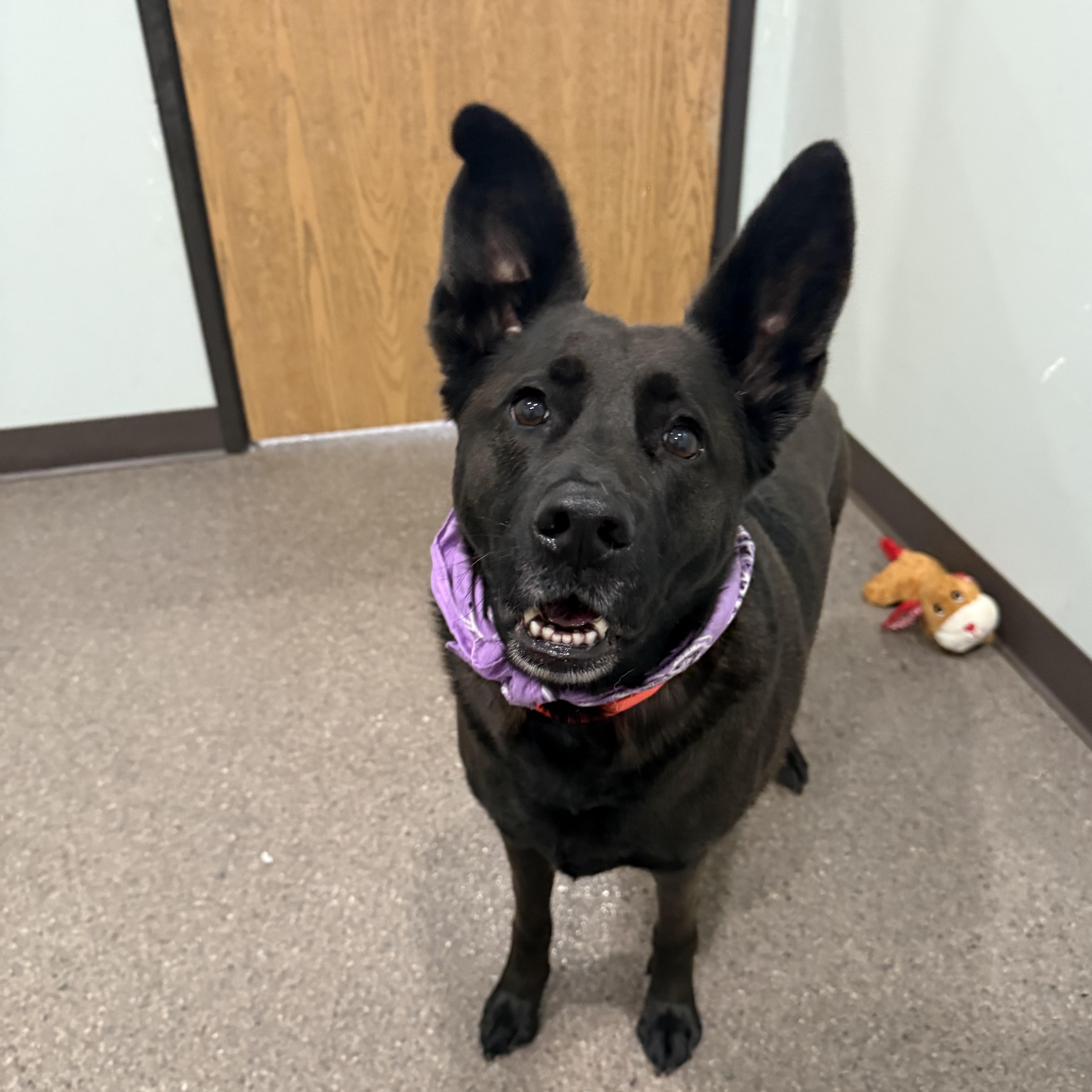 Smokey Girl thumbnail 2