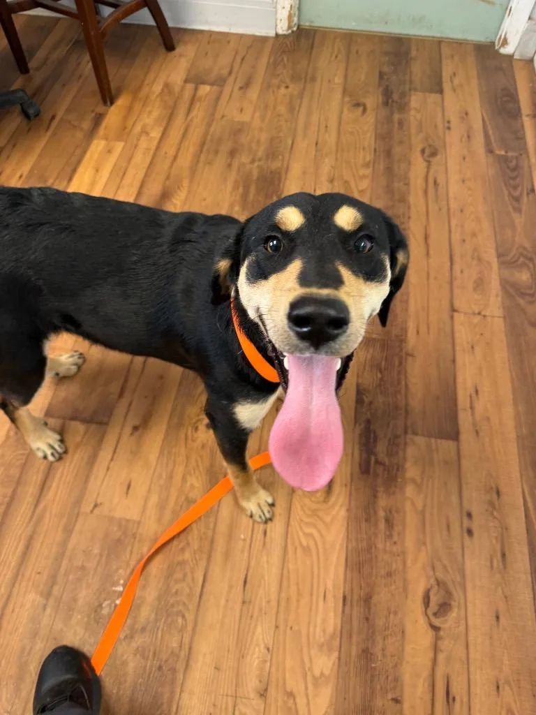 Winchester thumbnail 2