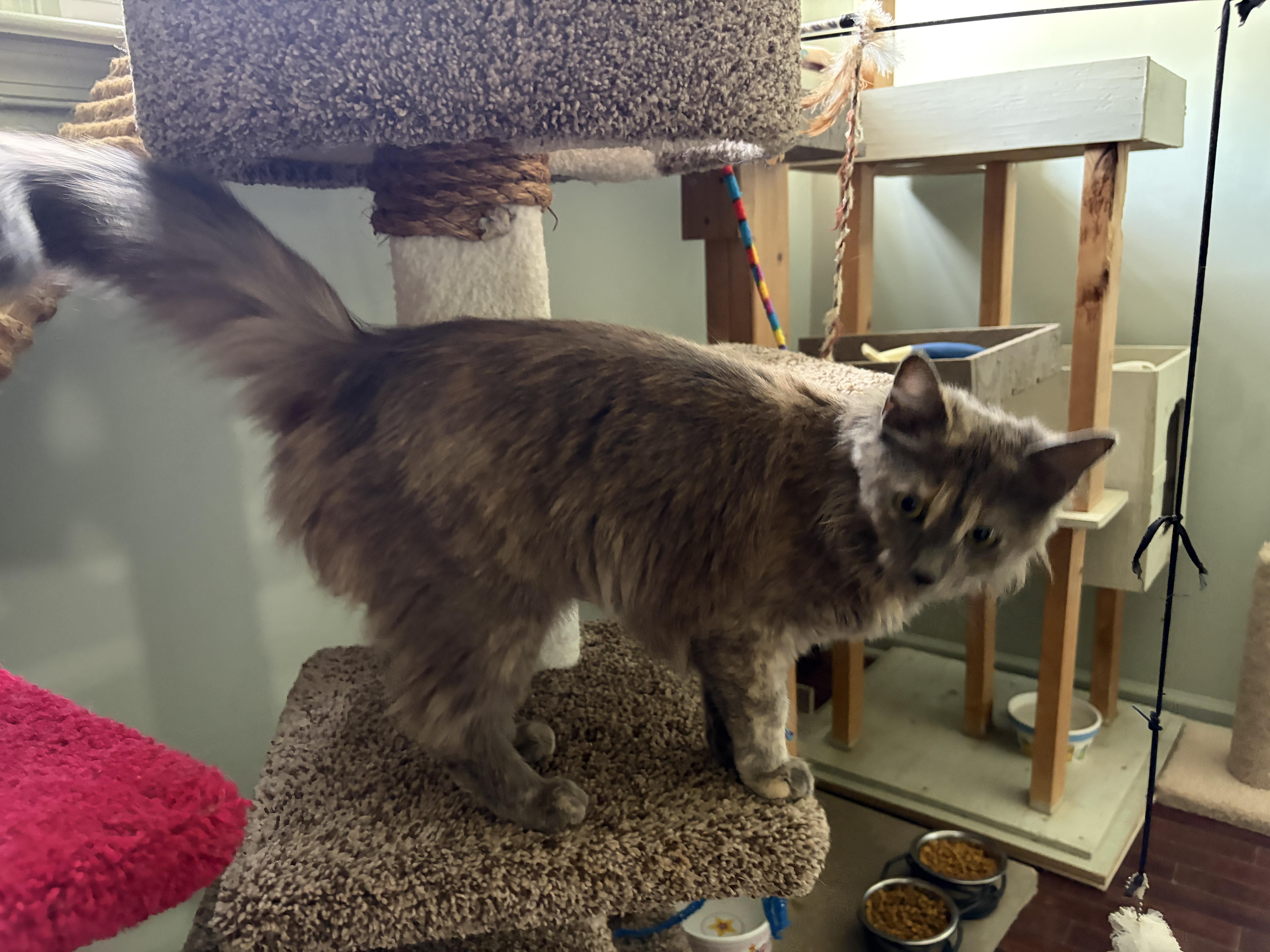 Madeleine thumbnail 5