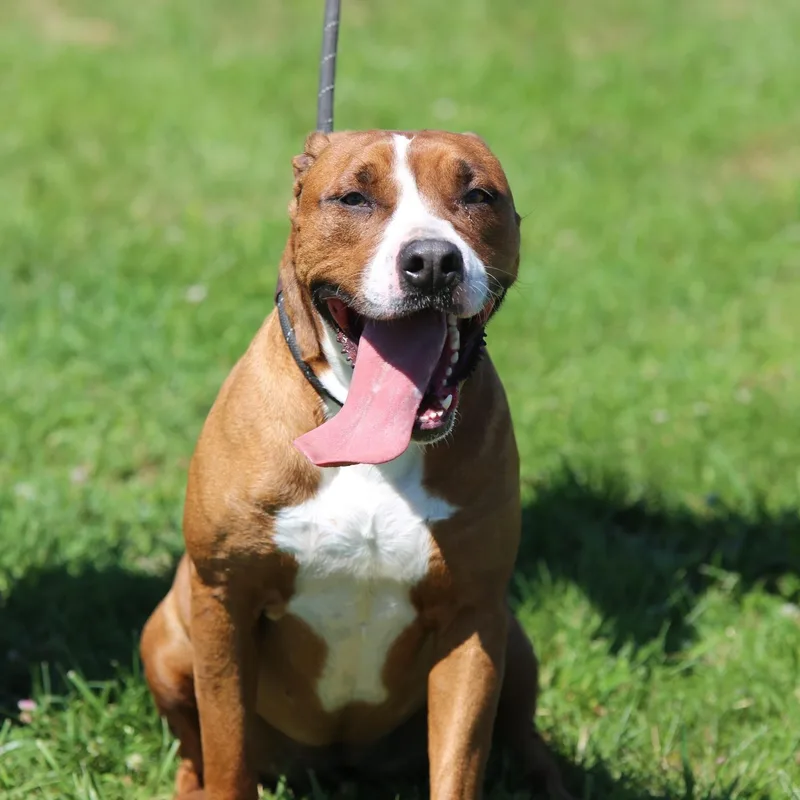 Ellie Mae