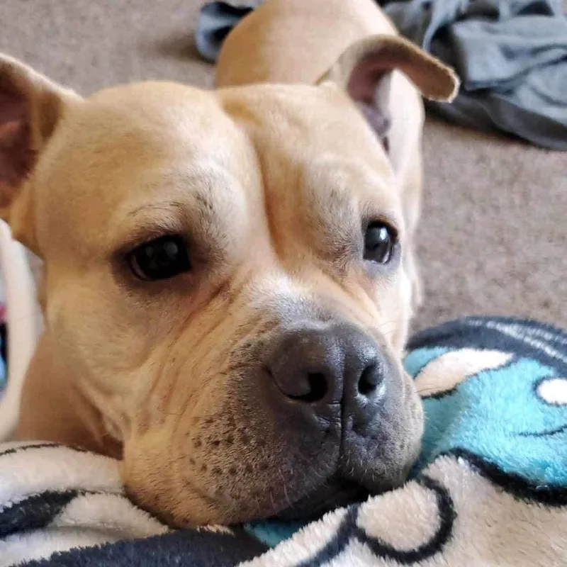 Lola thumbnail 2