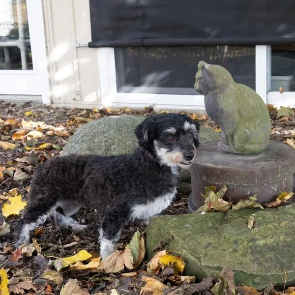 Ellie Mae thumbnail 3