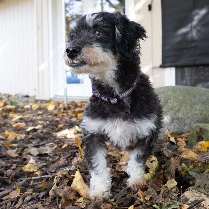 Ellie Mae thumbnail 4