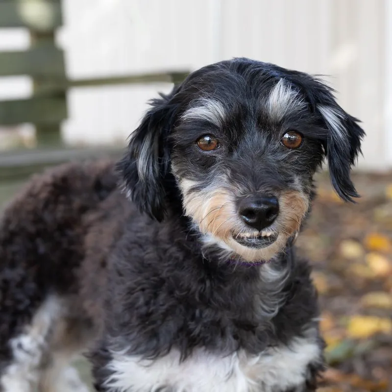 Ellie Mae thumbnail 5
