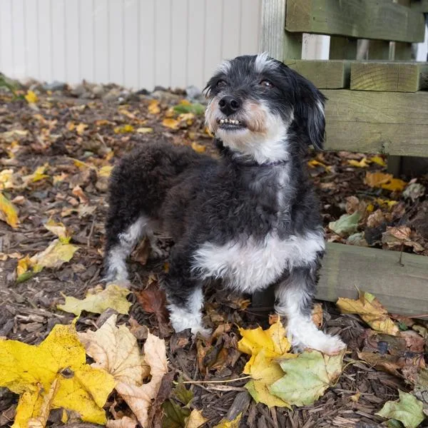 Ellie Mae thumbnail 6