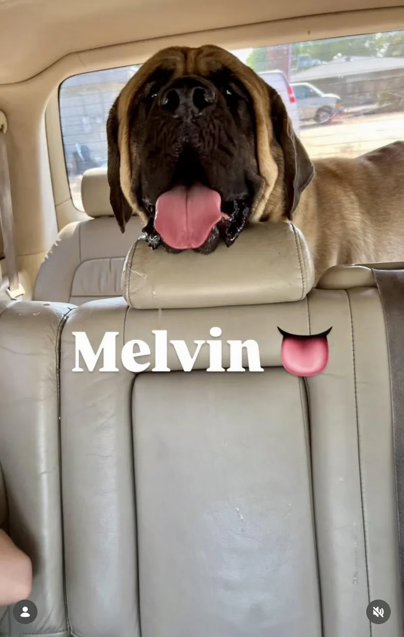 Melvin