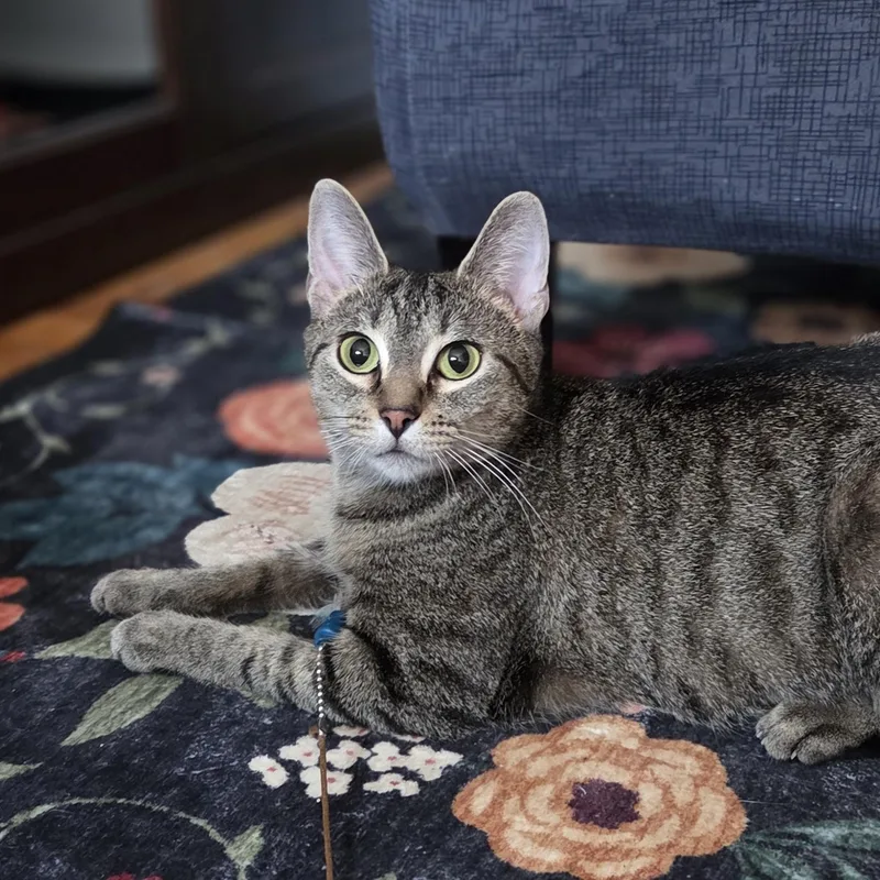 Iris Great With Kids