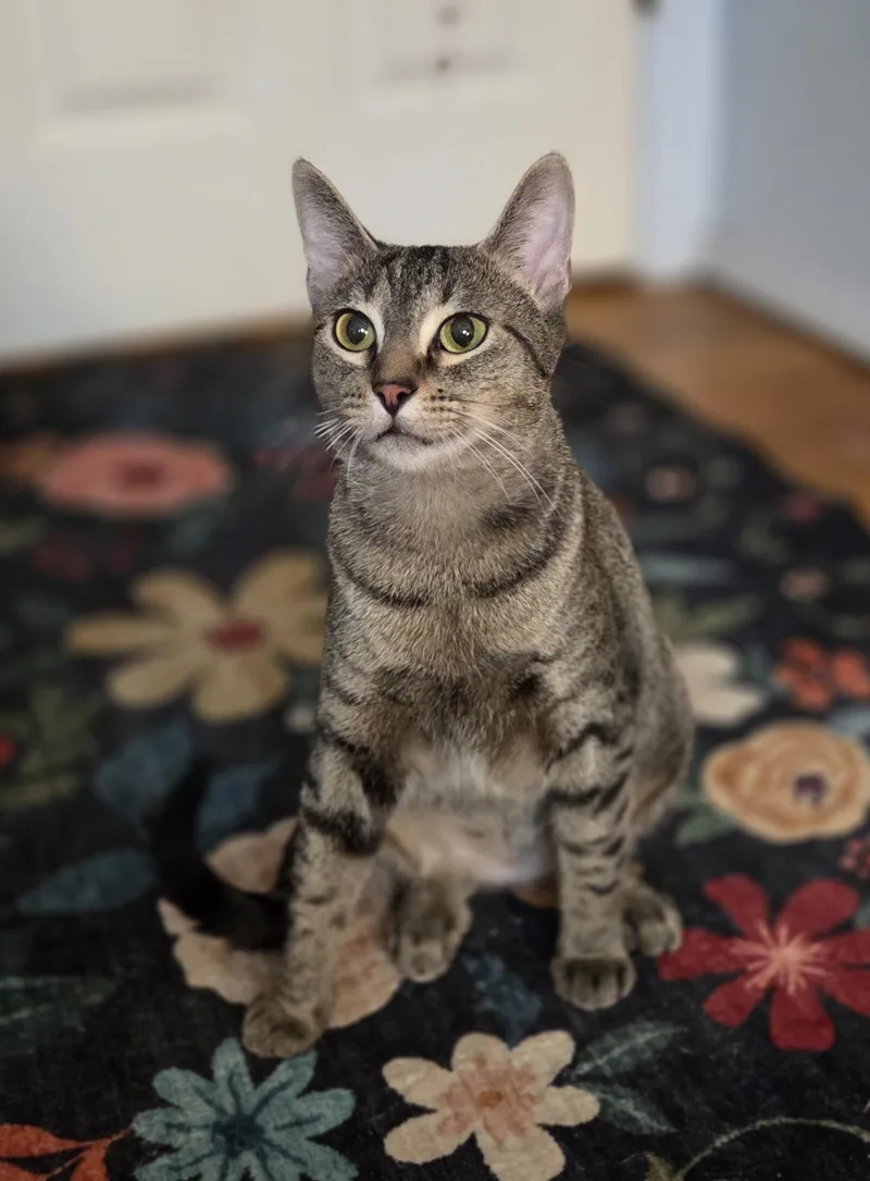 Iris Great With Kids thumbnail 2