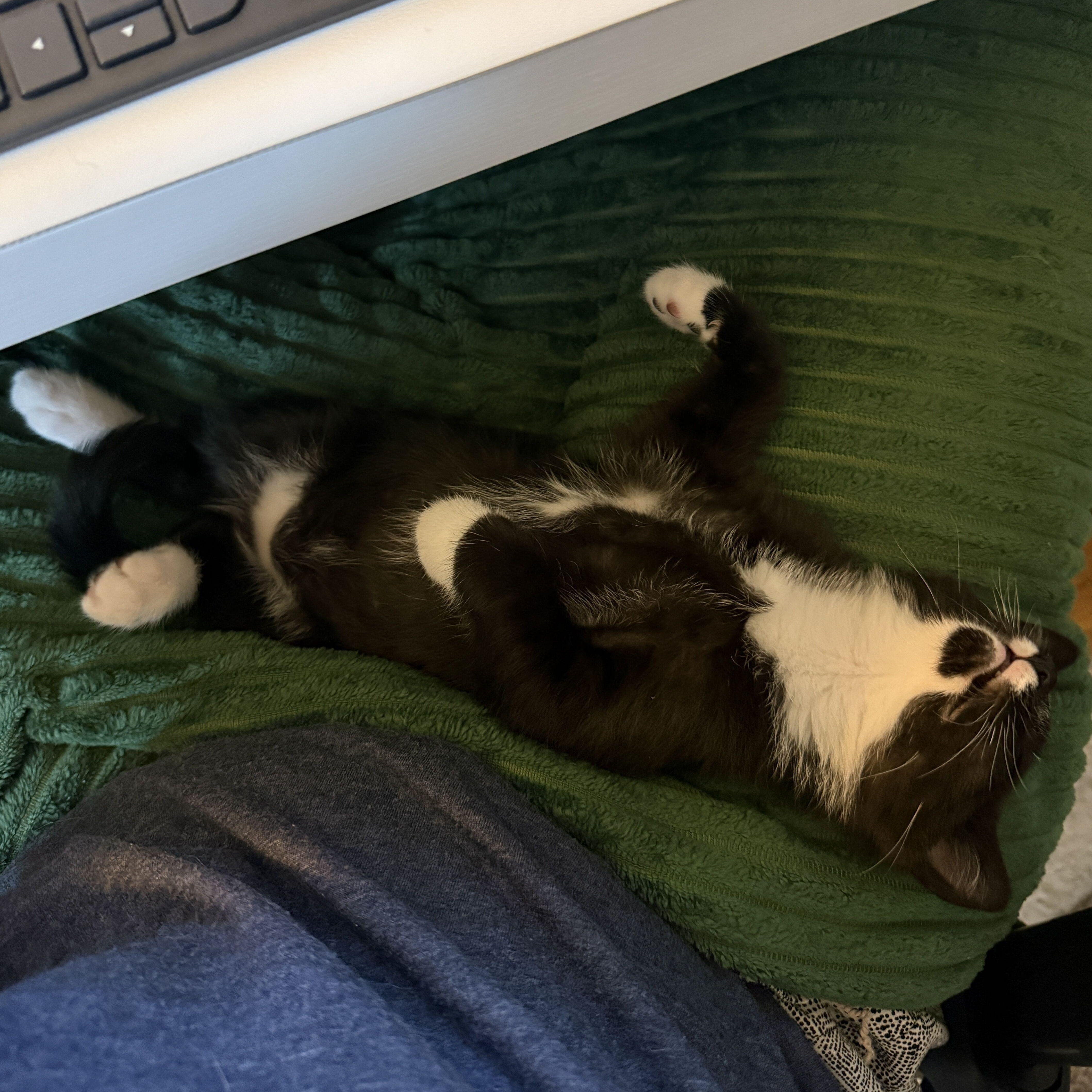 Biscotti thumbnail 4