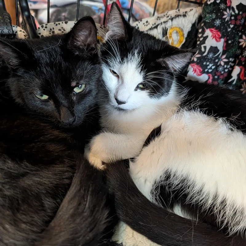 Mimi And Scrappy thumbnail 2