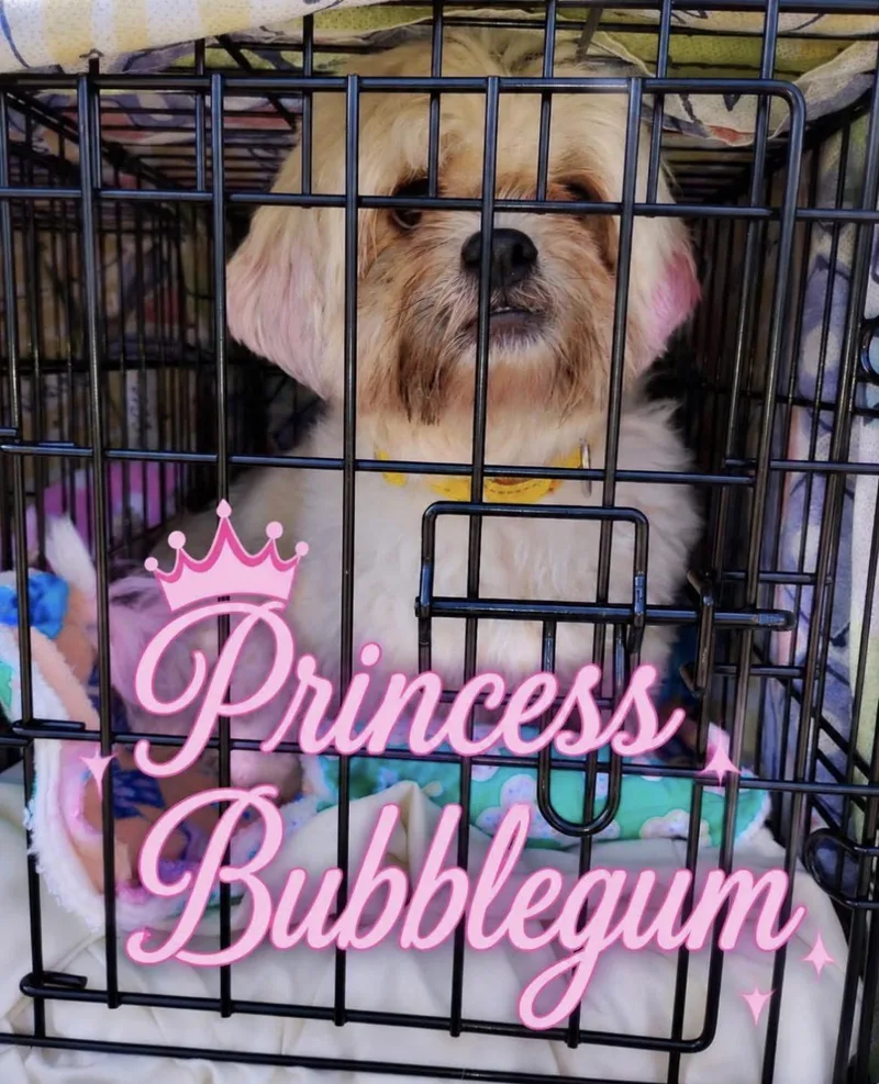 Princess BubbleGum