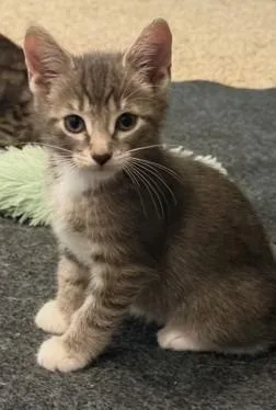 Luka