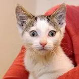 Winona Ryder thumbnail 2