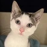 Winona Ryder thumbnail 3