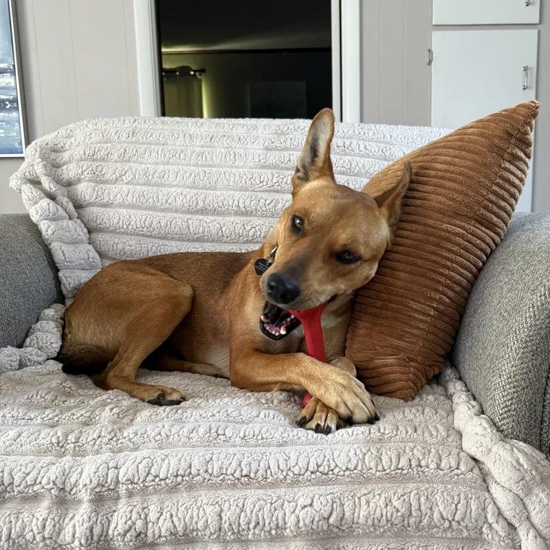 Charlotte thumbnail 4