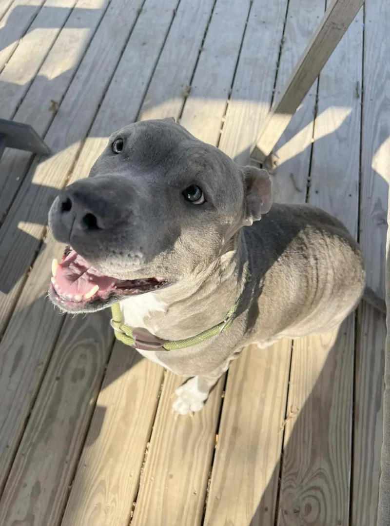 Princesa thumbnail 2