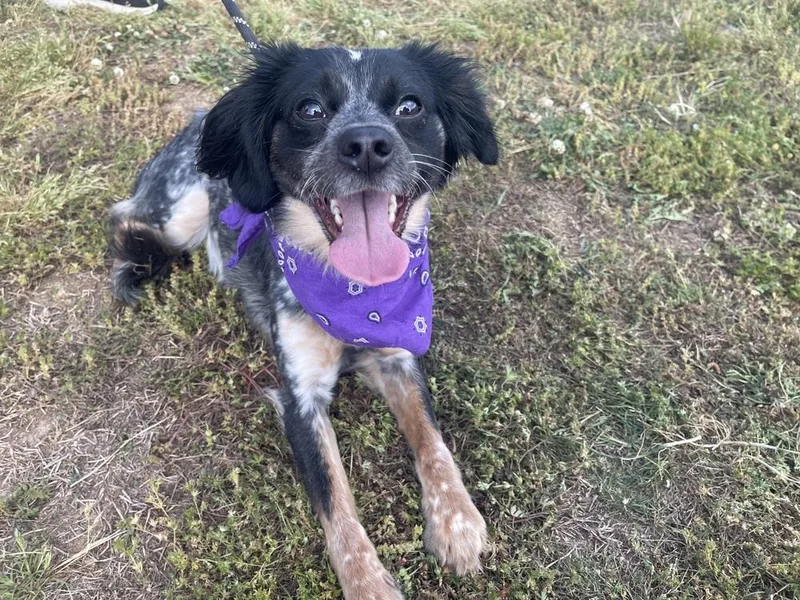 Lilah
