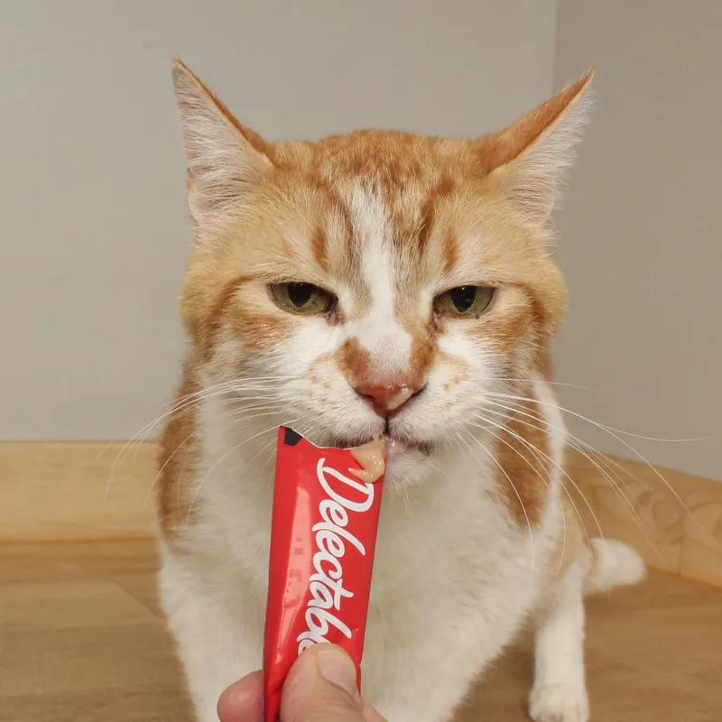 Alfie C thumbnail 2