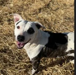 Ms. Nutmeg thumbnail 2