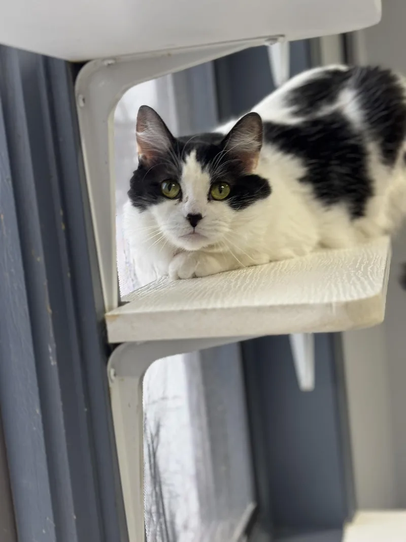 Princess Kiko thumbnail 2