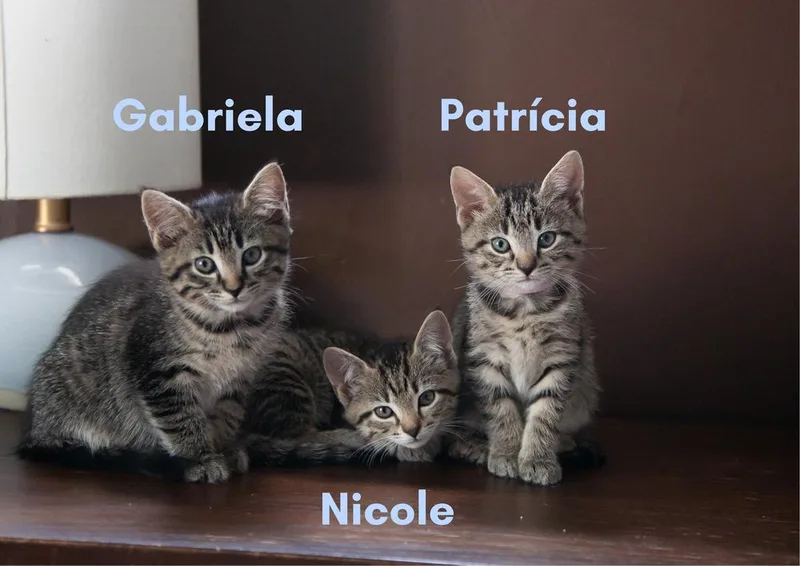 Patrícia thumbnail 2