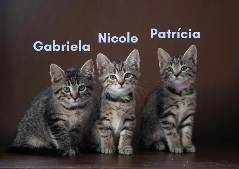 Patrícia thumbnail 5