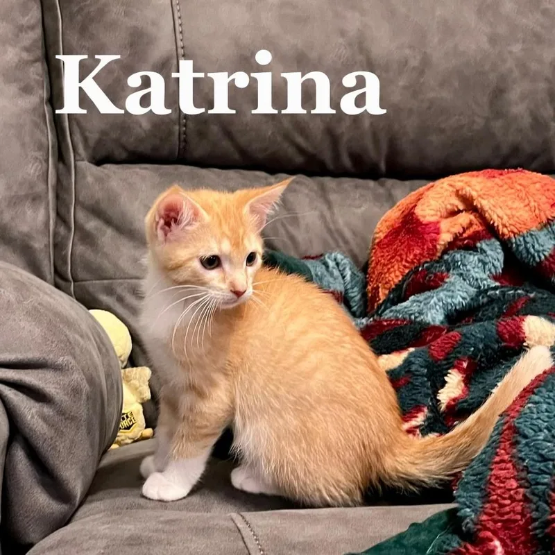 Katrina C thumbnail 3