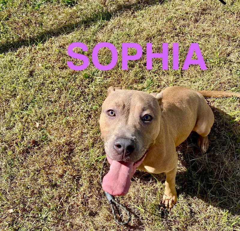 Rose And Sophia thumbnail 2