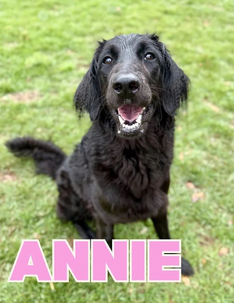 Annie