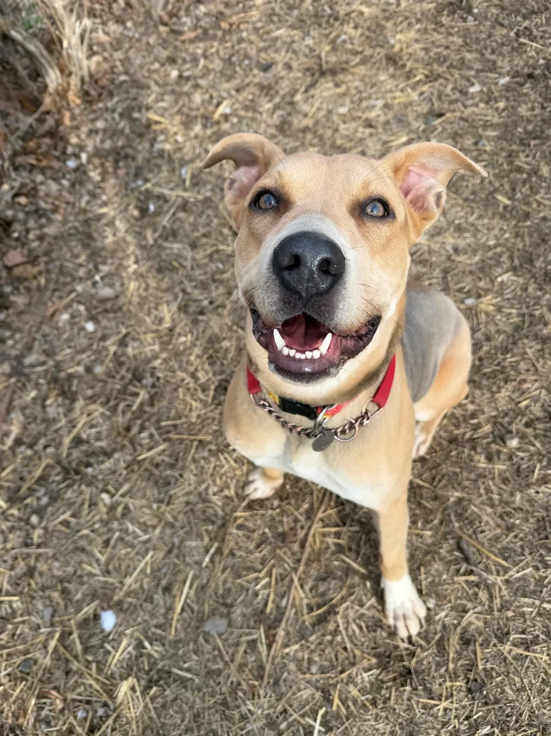 Annabelle thumbnail 3