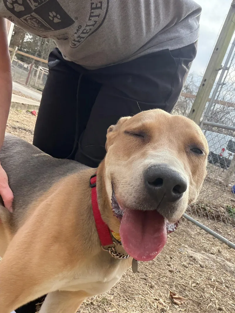 Annabelle thumbnail 4