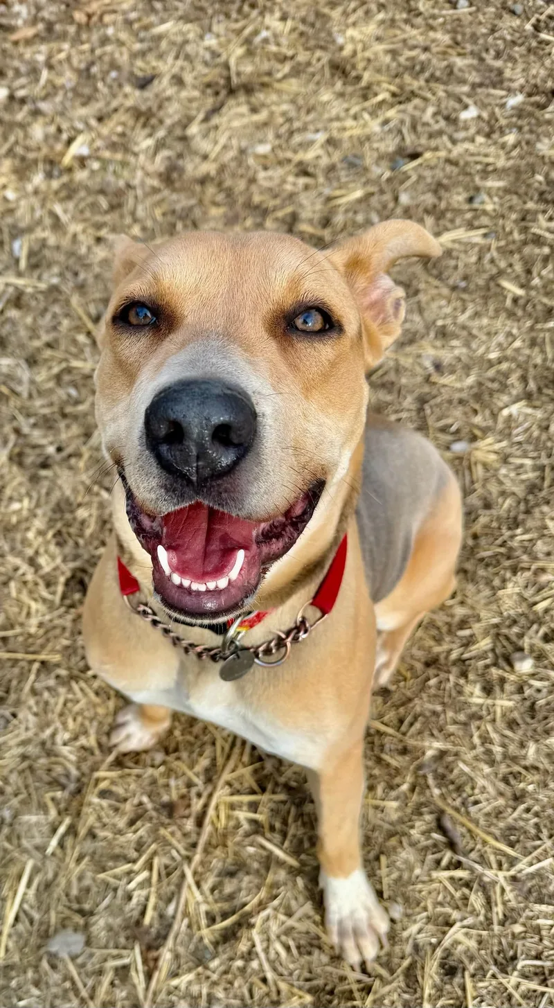 Annabelle thumbnail 5