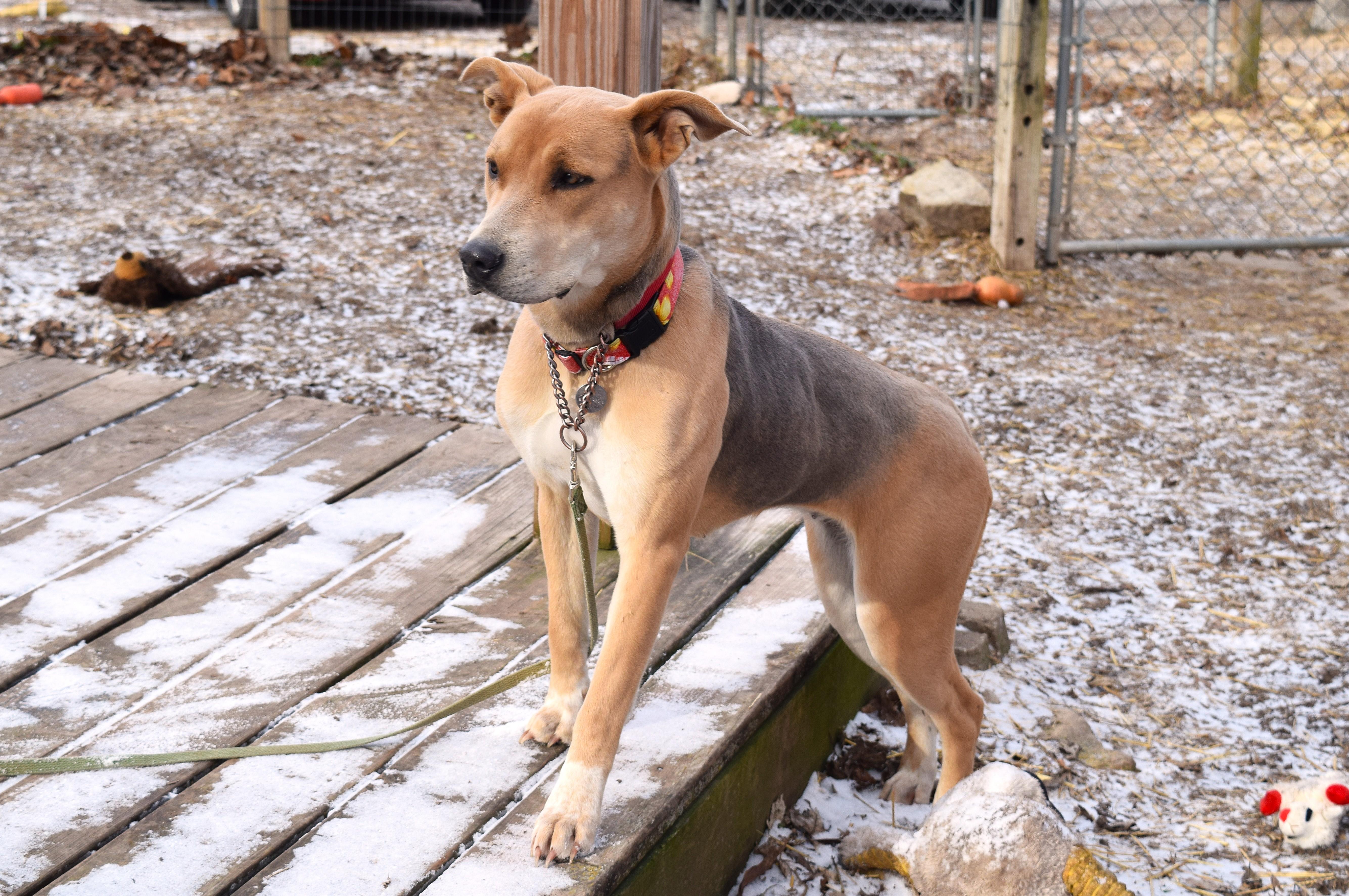 Annabelle thumbnail 6