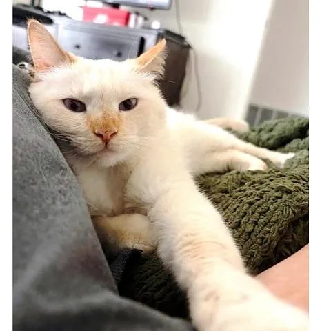 Yuki