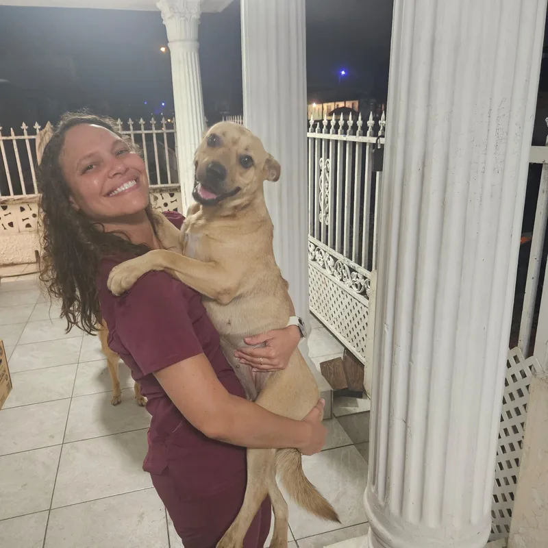 Yellow "let's Love." thumbnail 5