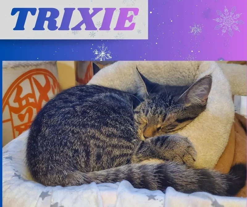 Trixie
