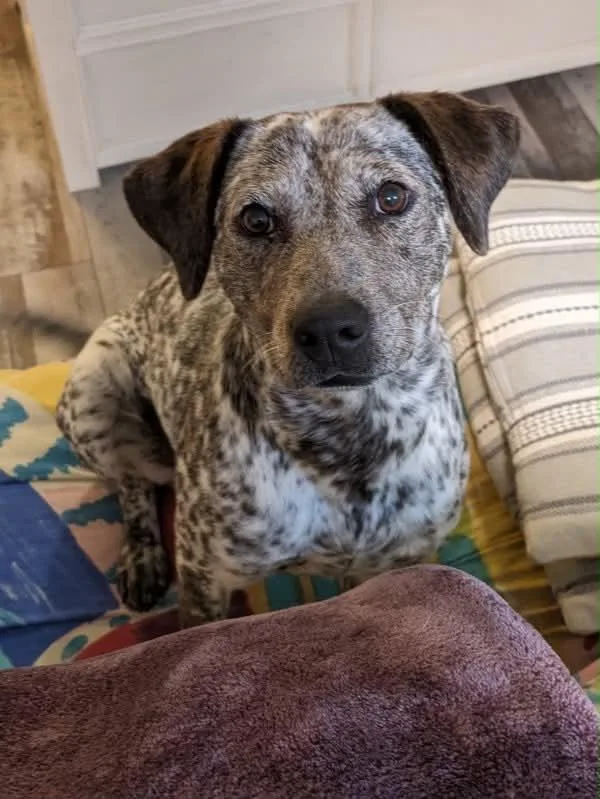 Penny