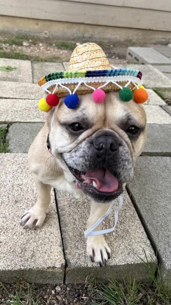 Winnie