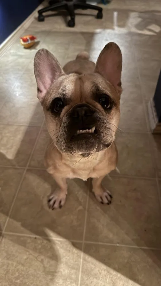 Winnie thumbnail 3