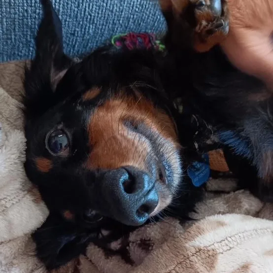 Michael Douglas thumbnail 3