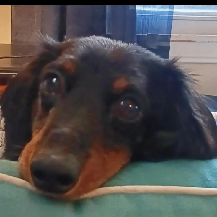 Michael Douglas thumbnail 4