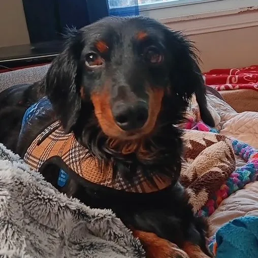 Michael Douglas thumbnail 5