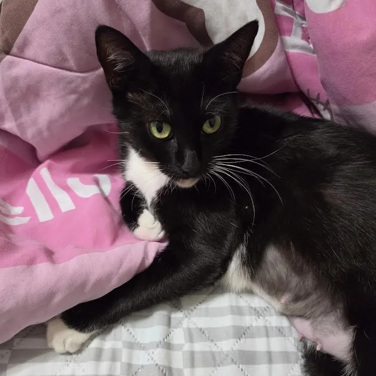 Chiquita Aka Tiny thumbnail 5