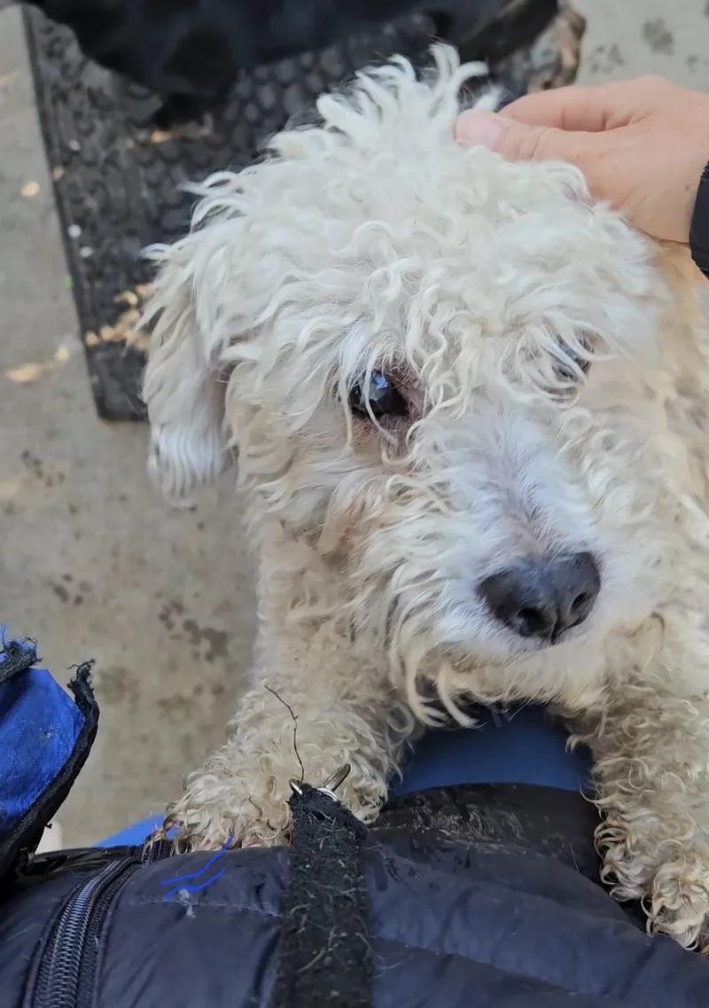 Lucky Eric Charm!! thumbnail 2